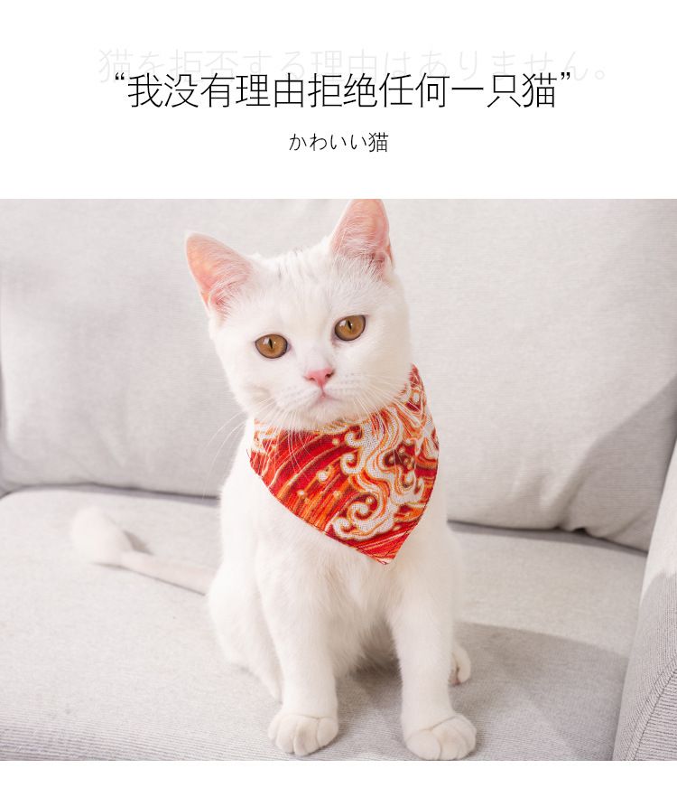 Fengpei Pet Products Factory offers direct sales of pet printed triangular wipes, double-layer linen wipes and collars for cats and dogs details Picture