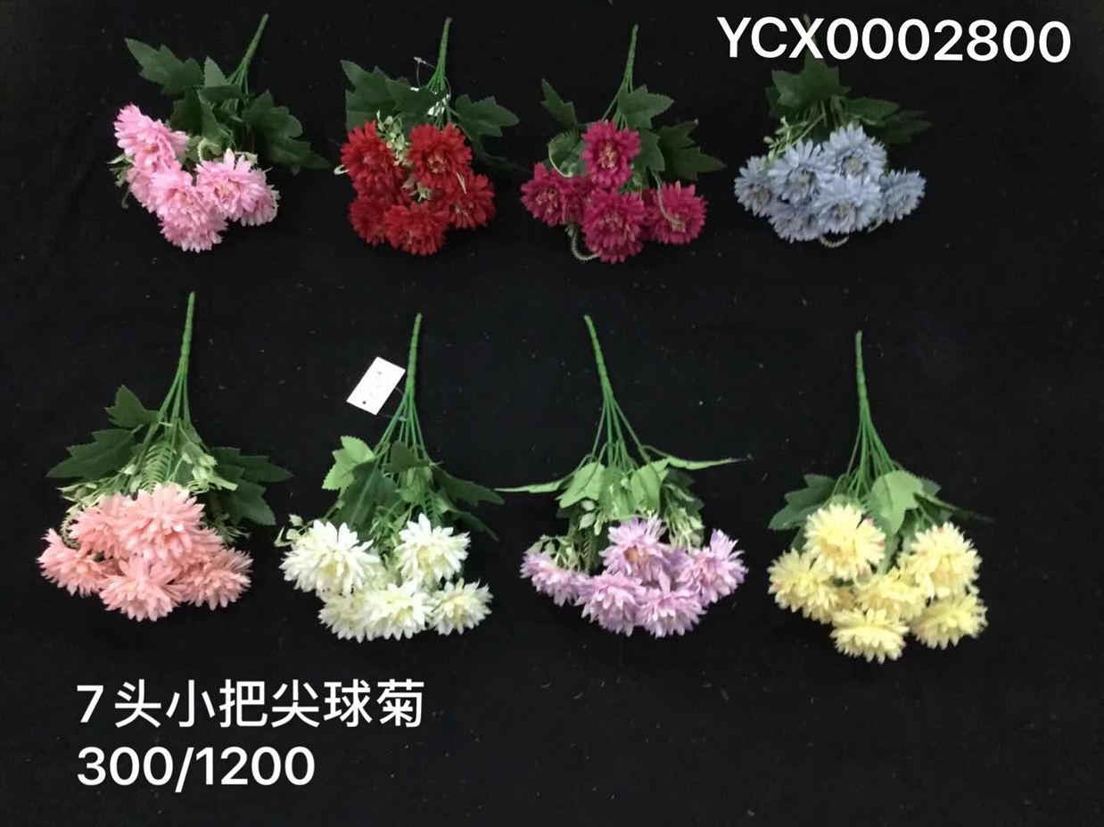 7 poinsettias thumbnail