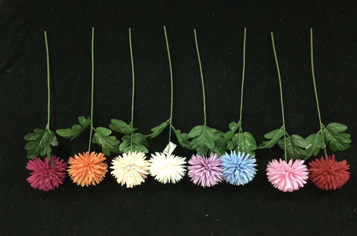 Single ball chrysanthemum thumbnail