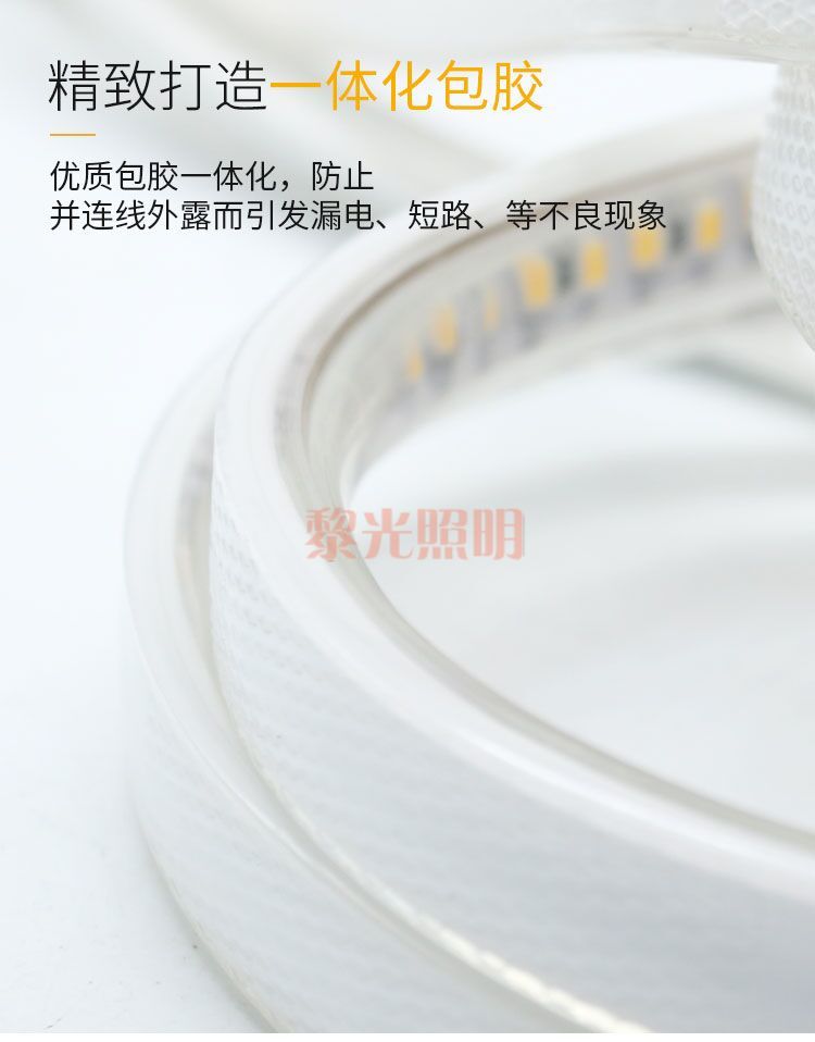 220V高压灯带144灯超亮工程款3038高亮商场室外亮化防水软灯条详情图2