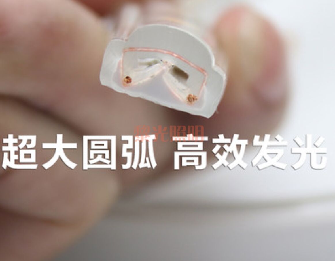 工程灯带/高压灯带/220V白底实物图