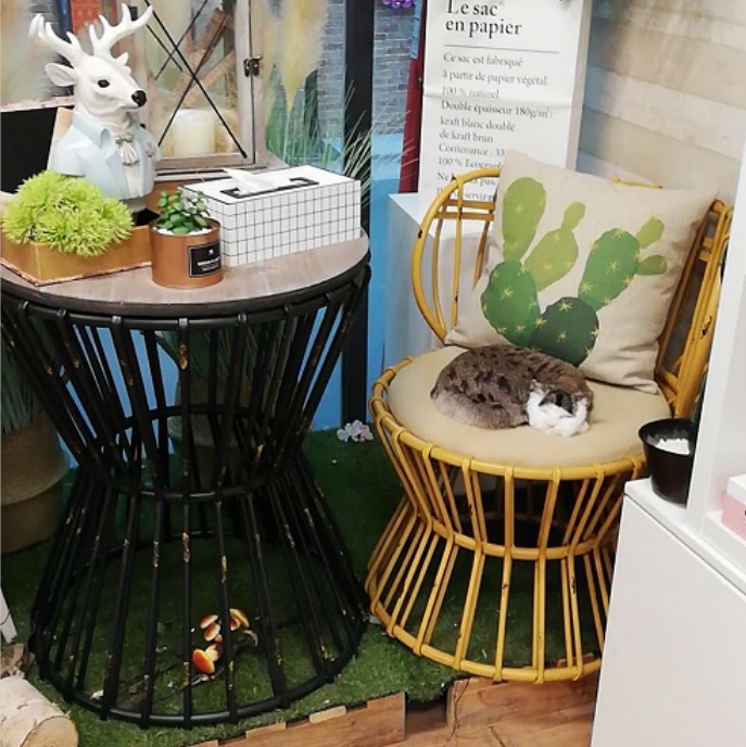 A super beautiful aged table and two chairs, a combination of iron and wood, Bird's Nest coffee table and chairs Specification image