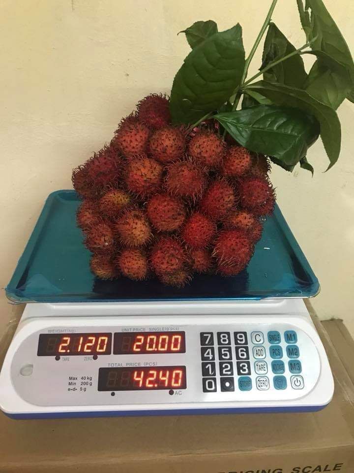 Electronic weighing platform 40kg precise pricing platform weighing commercial kg fruit selling vegetable weighing scale thumbnail