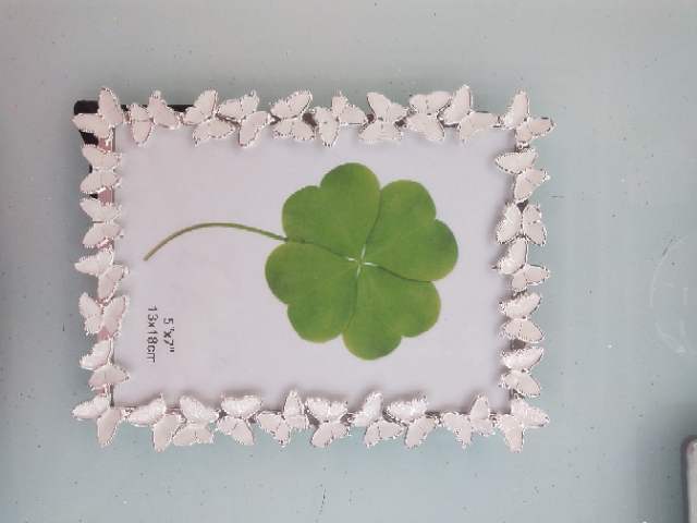Metal photo frames, plastic photo frames Application Scenario