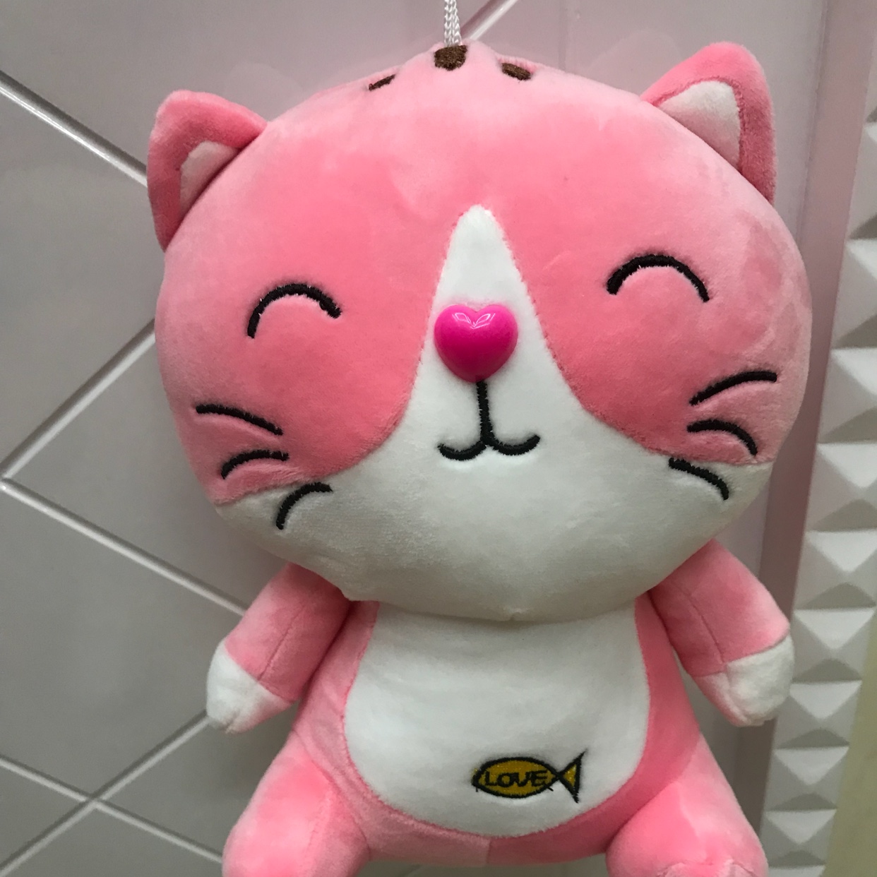 The cat thumbnail