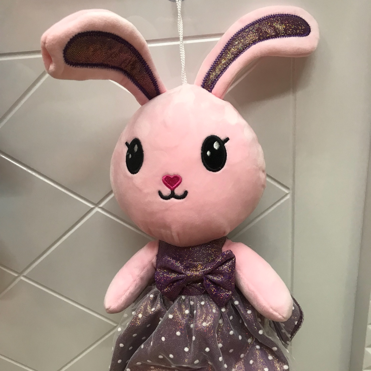 Veil the rabbit thumbnail