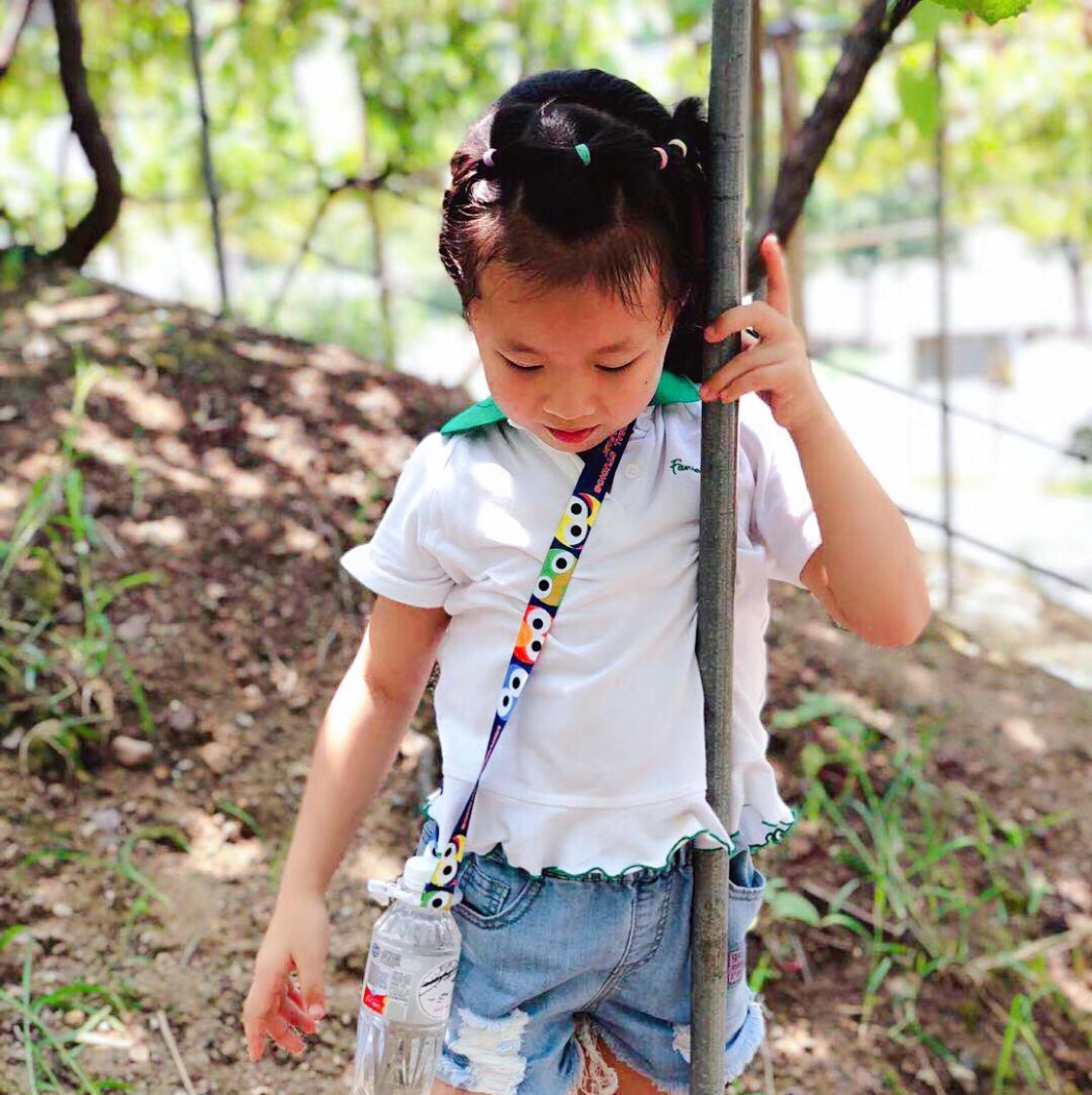 其他软饮料实物图