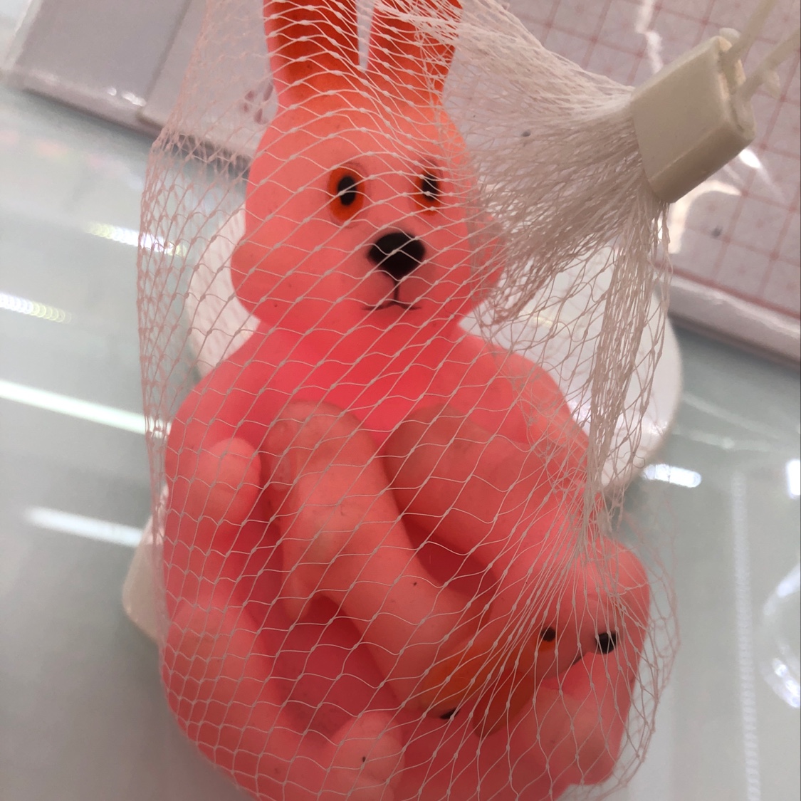 戏水兔子🐰