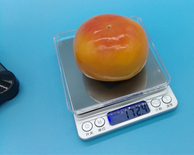 珠宝秤/厨房秤/电子秤产品图