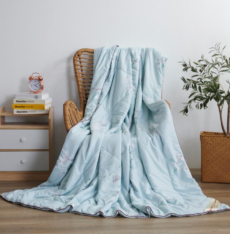 Sannong Home Textile Factory Direct Silk By Antibacterial Anti-Mite Washing Cotton Can Be Washed By Double Summer Air Conditioning