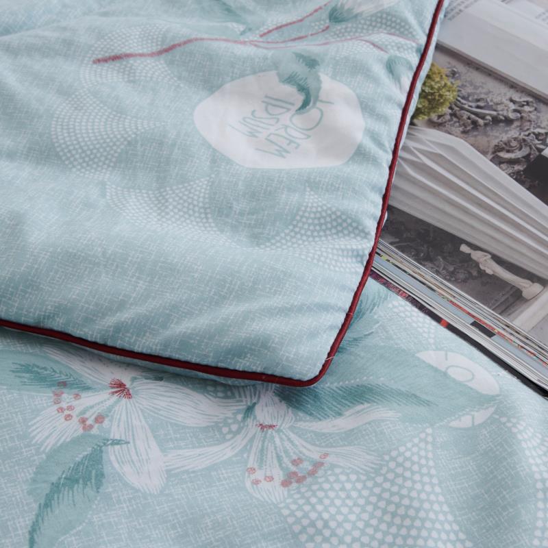 Sannong Home Textile Factory Direct Silk By Antibacterial Anti-Mite Washing Cotton Can Be Washed By Double Summer Air Conditioning Specification drawing