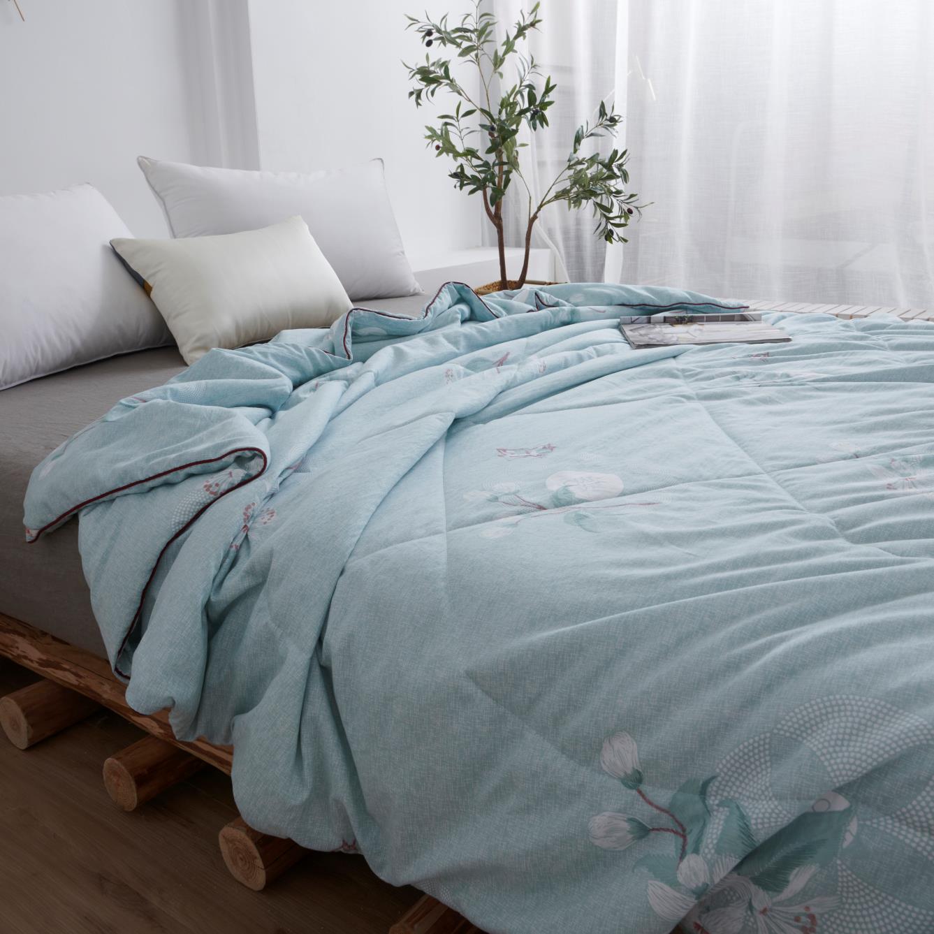 Sannong Home Textile Factory Direct Silk By Antibacterial Anti-Mite Washing Cotton Can Be Washed By Double Summer Air Conditioning details Picture