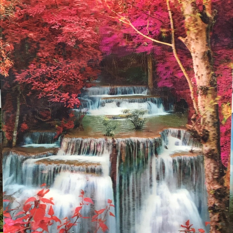 5D animated stereoscopic picture