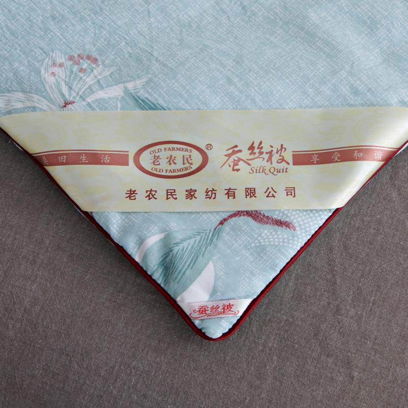 Sannong Home Textile Factory Direct Silk By Antibacterial Anti-Mite Washing Cotton Can Be Washed By Double Summer Air Conditioning undefined