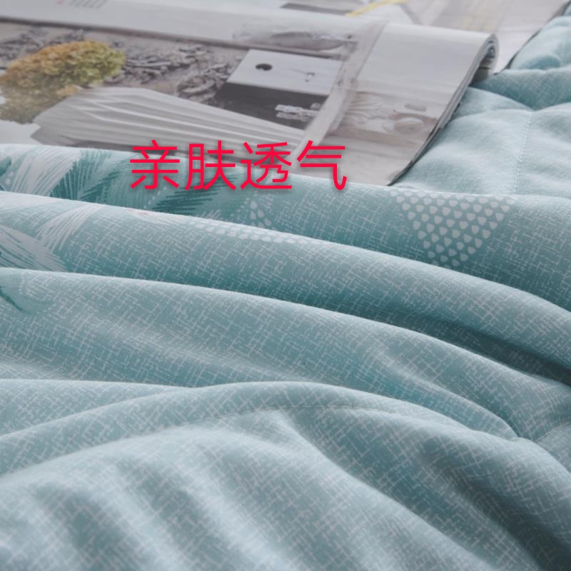 Sannong Home Textile Factory Direct Silk By Antibacterial Anti-Mite Washing Cotton Can Be Washed By Double Summer Air Conditioning undefined