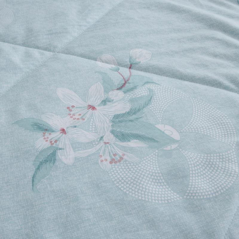 Sannong Home Textile Factory Direct Silk By Antibacterial Anti-Mite Washing Cotton Can Be Washed By Double Summer Air Conditioning Item Picture