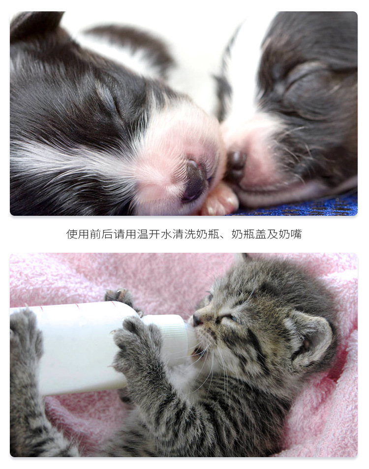 Cat products Baby cat pet bottle Multi-pacifier replaceable pet feeder Baby pet feeder Application Scenario