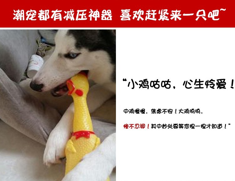 Hot selling Feng Pei pet sound toy dog cat general use small sugar glue strange call chicken toy scream chicken wholesale undefined
