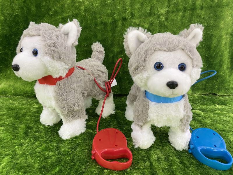 Smart dog on a leash thumbnail