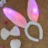 A 3-piece set with rabbit ears, headbands, bow ties and tails with lights details Picture