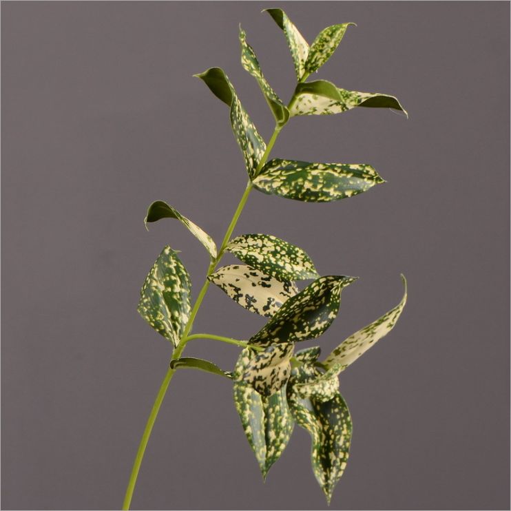 Yiwu Selection simulation green plant wholesale flower plant wall insert bottom material green handle leaf spot leaf thumbnail