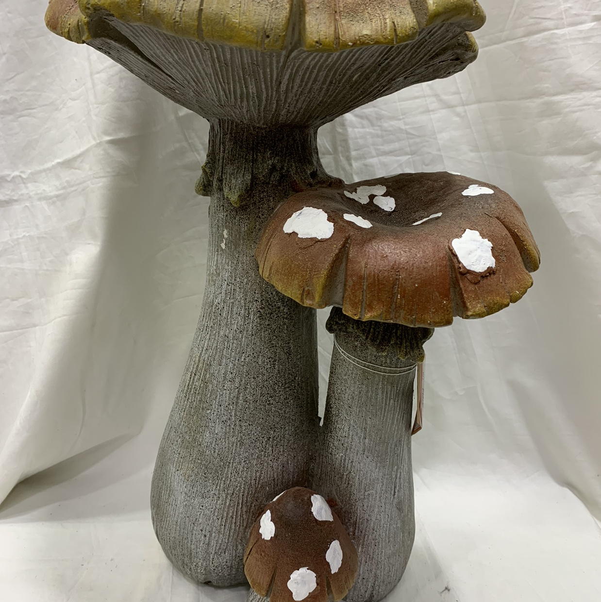 Magnesium oxide for double mushrooms