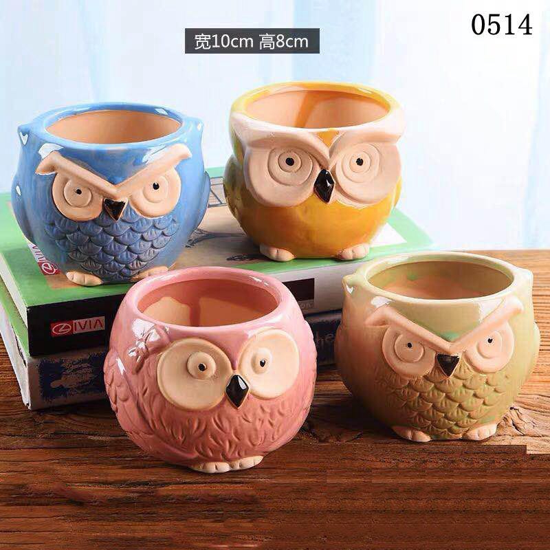 多肉工艺/植物花瓶/家居摆件细节图