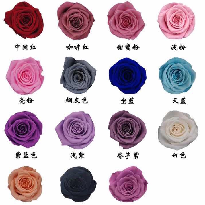 永生花玻璃罩礼盒摆件圣诞节生日礼物送女友小王子保鲜玫瑰花干花详情图10