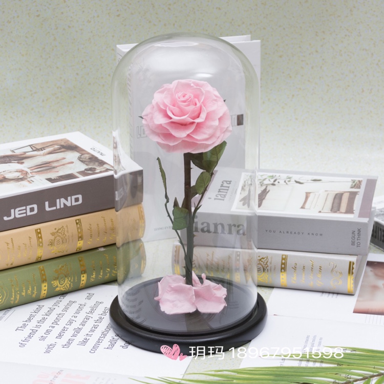 永生花玻璃罩礼盒摆件圣诞节生日礼物送女友小王子保鲜玫瑰花干花详情图7