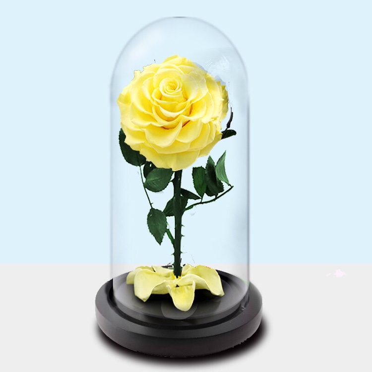 永生花玻璃罩礼盒摆件圣诞节生日礼物送女友小王子保鲜玫瑰花干花详情图6