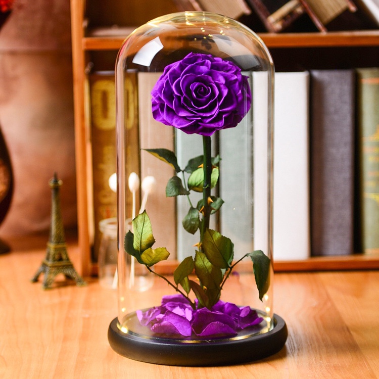 永生花玻璃罩礼盒摆件圣诞节生日礼物送女友小王子保鲜玫瑰花干花产品图