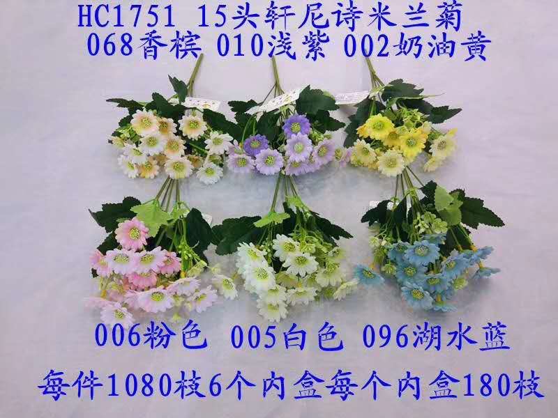 15头轩尼诗米兰菊