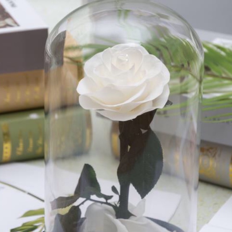 永生花玻璃罩礼盒摆件圣诞节生日礼物送女友小王子保鲜玫瑰花干花详情图8