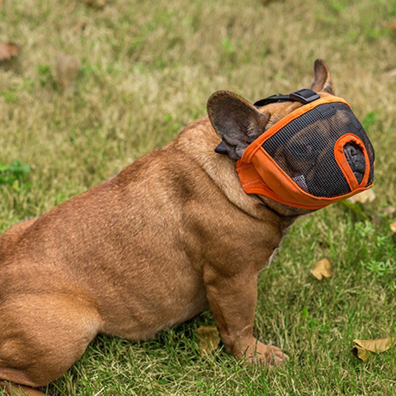 Manufacturer direct quality bulldog eye mask short nose dog mask dog bite - and - bark muzzle