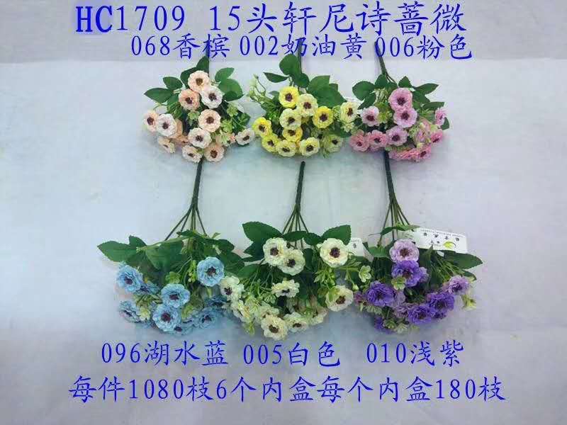 15头轩尼诗蔷薇