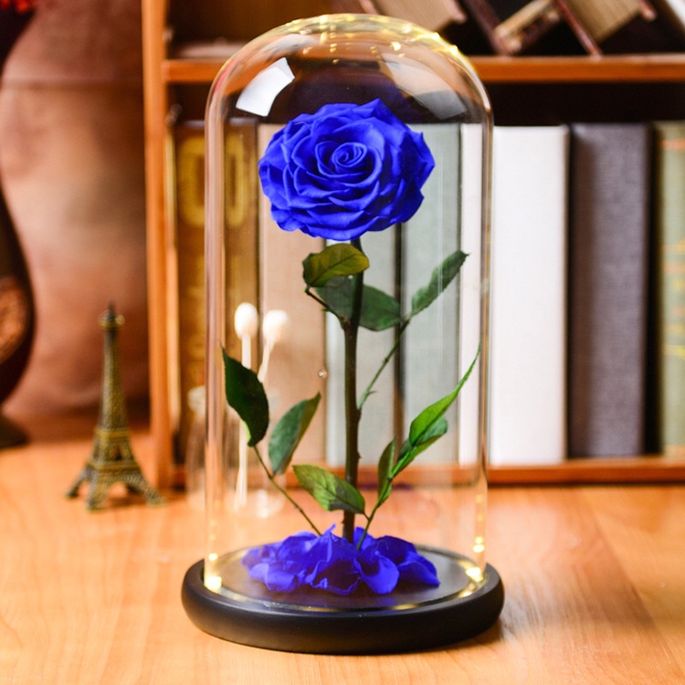 永生花玻璃罩礼盒摆件圣诞节生日礼物送女友小王子保鲜玫瑰花干花细节图