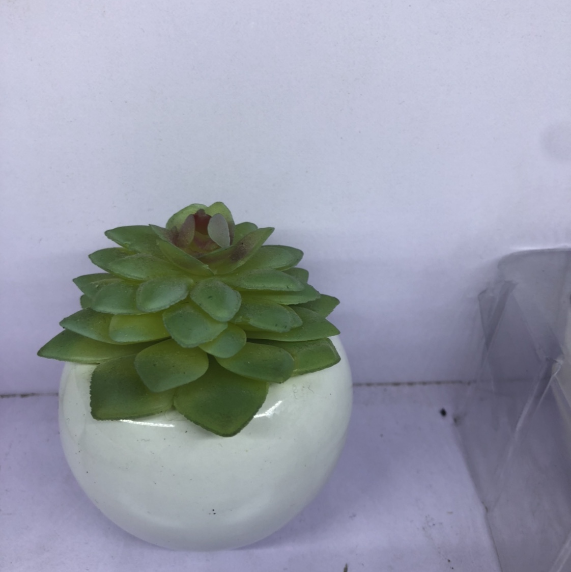 The simulation succulent plant contracted Norse wind false flower potted miniature bonsai mini meat plastic flower table top decorations 5 thumbnail