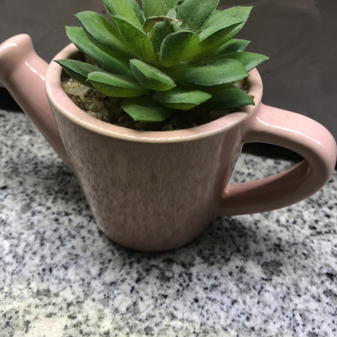 Simulation succulent simple Nordic wind false bonsai bonsai bonsai bonsai mini meat plastic flowers tabletop decorations C thumbnail