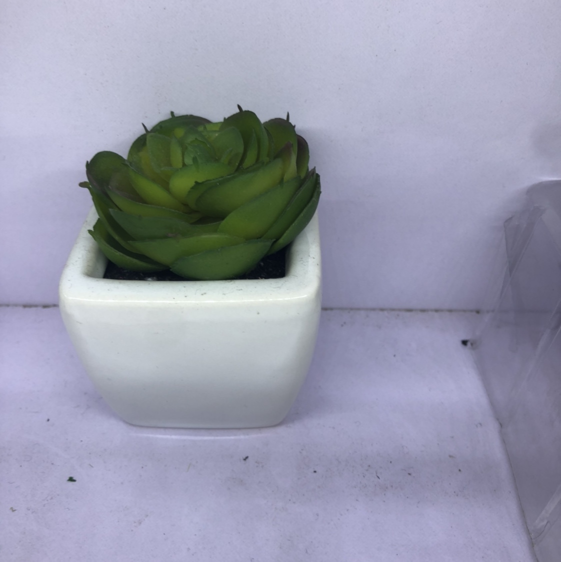 Simulation succulent plant simple Nordic wind false bonsai bonsai bonsai bonsai mini meat plastic flowers table top decorations 26