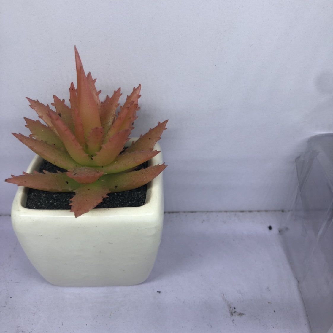 The simulation succulent plant contracted Norse wind false flower potted miniature bonsai mini meat plastic flower table table decorations 19 thumbnail
