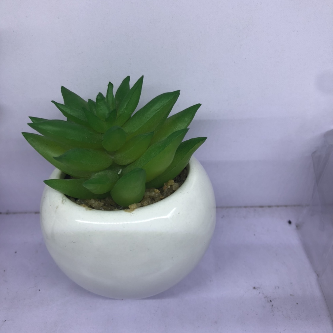 The simulation succulent plant contracted Norse wind false flower potted miniature bonsai mini meat plastic flower table table decorations 8 thumbnail