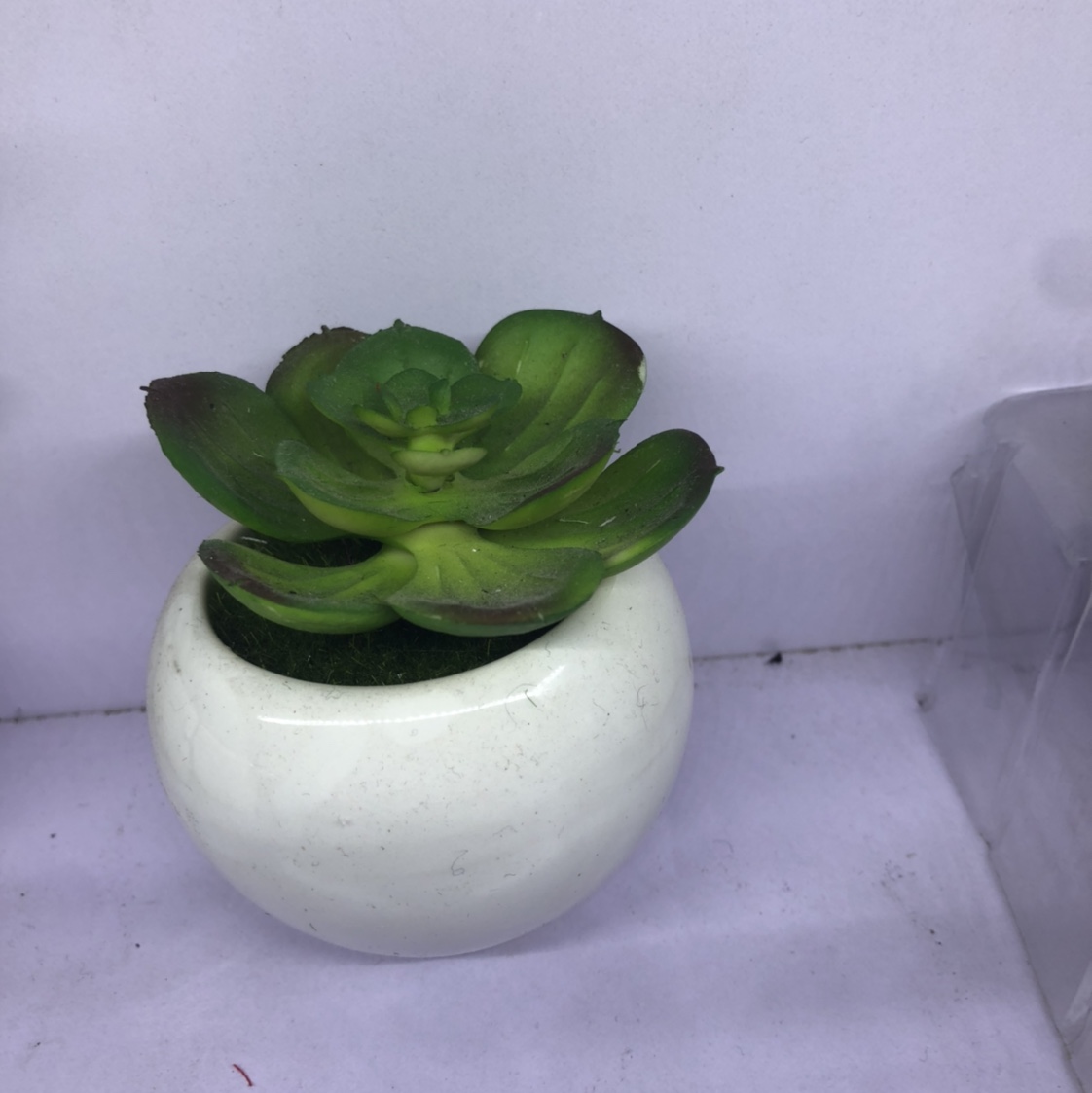 Simulation succulent simple Nordic wind false bonsai bonsai bonsai bonsai mini meat plastic flowers tabletop decorations 2