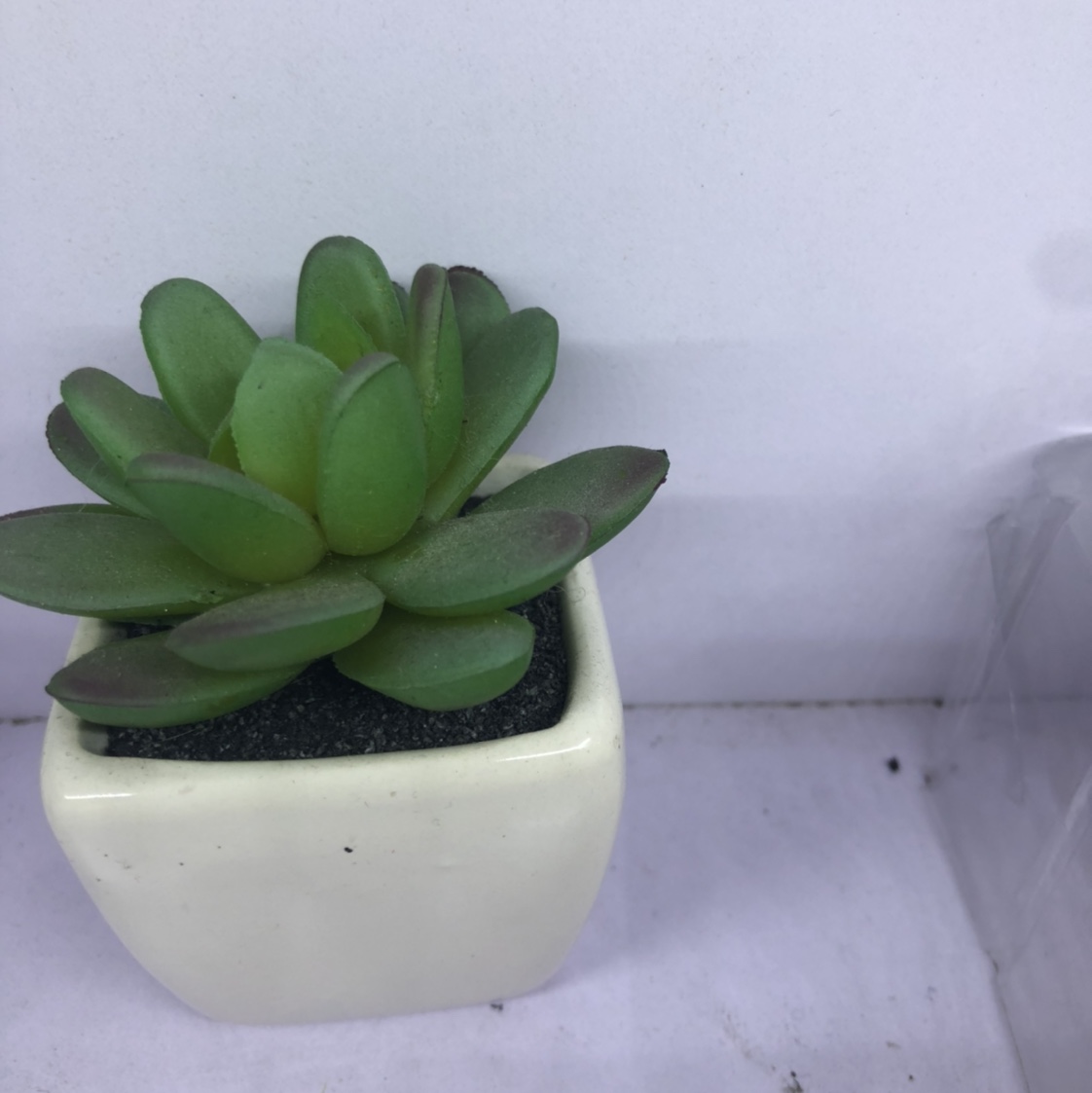 Simulation succulent plant simple Nordic wind false bonsai bonsai bonsai bonsai mini meat plastic flowers tabletop decorations 16