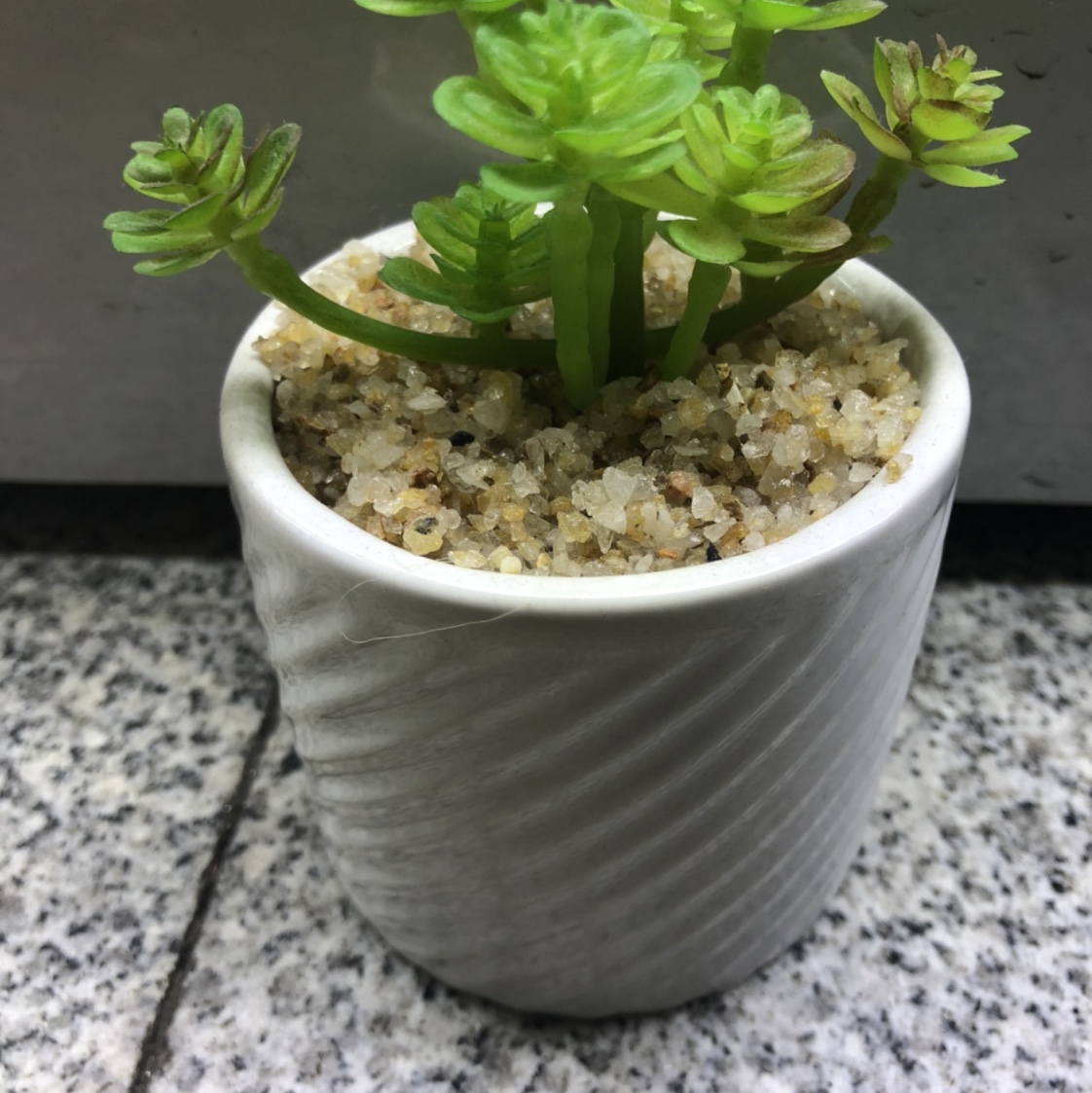 Simulation succulent simple Nordic wind false bonsai bonsai bonsai bonsai mini meat plastic flowers tabletop decorations V