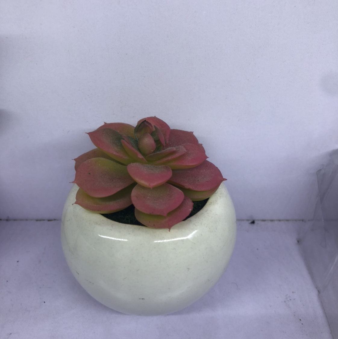 Simulation succulent simple Nordic wind false bonsai bonsai bonsai bonsai mini meat plastic flowers table top decorations 1 thumbnail