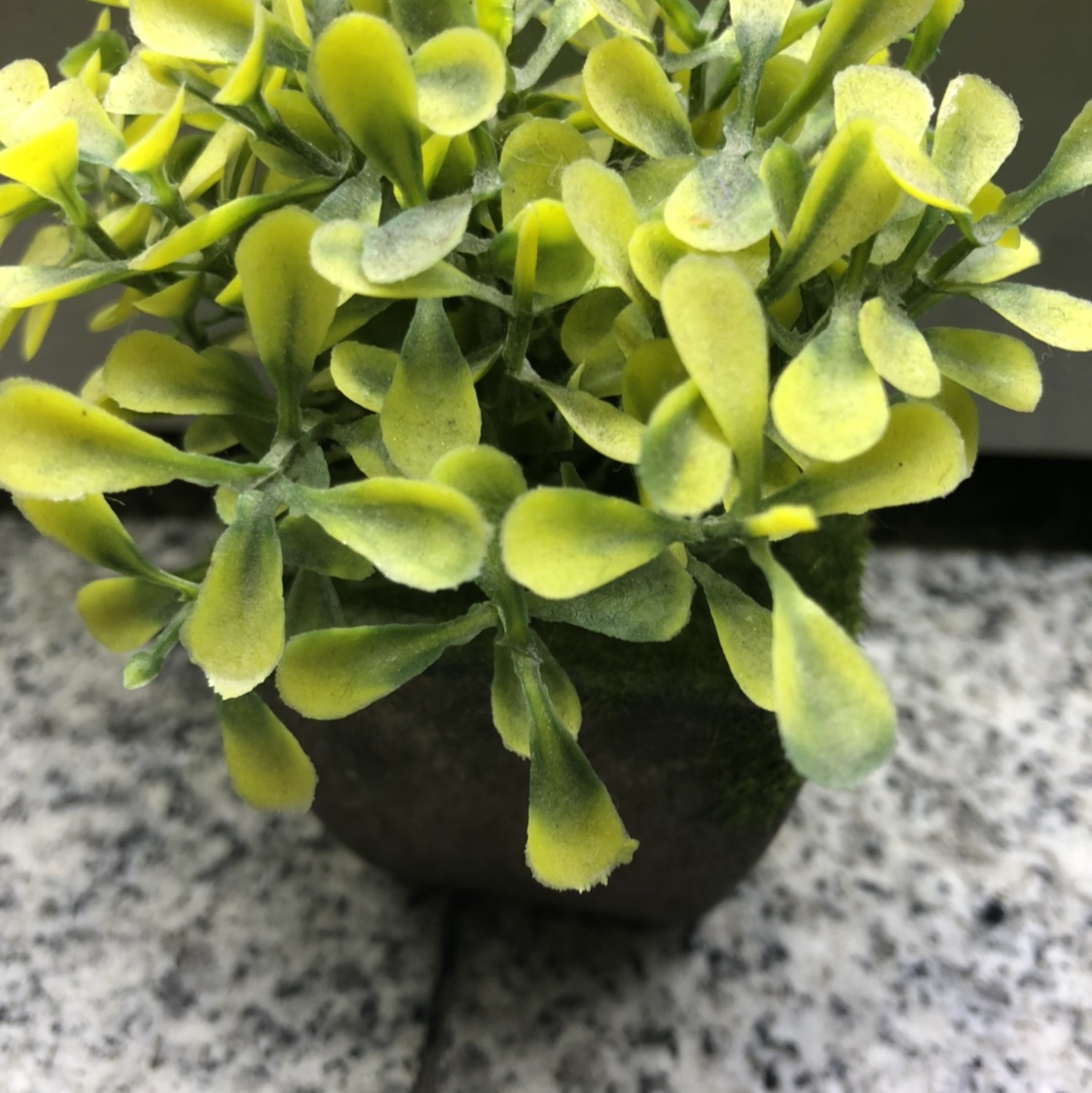 Simulation succulent simple Nordic wind fake bonsai bonsai bonsai bonsai mini meat plastic flower tabletop decorations J