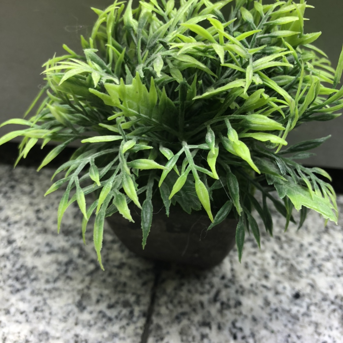 仿真多肉植物简约北欧风假花盆栽小盆景迷你小肉肉塑料花桌面摆件f图