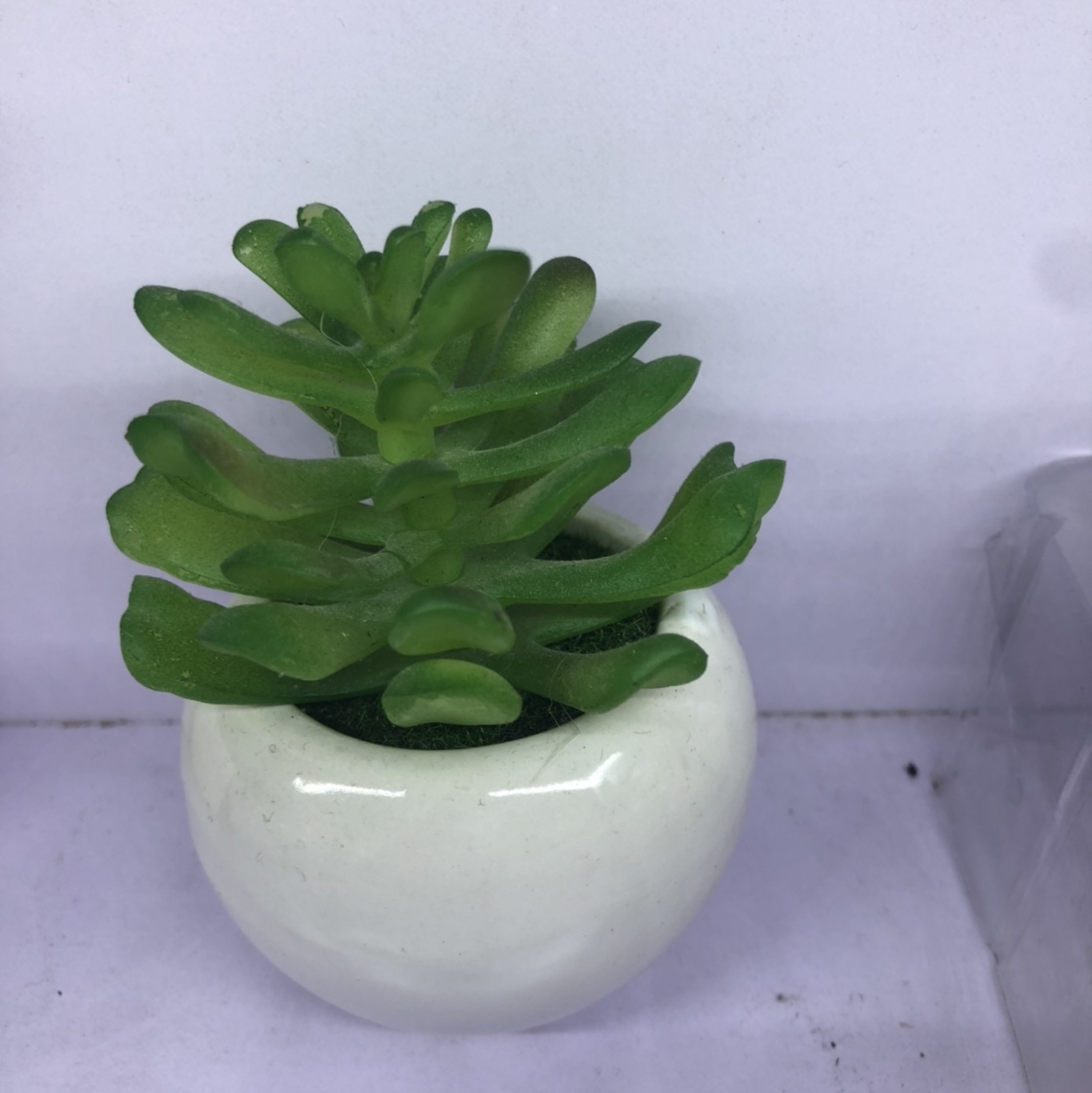 The simulation succulent plant contracted Norse wind false flower potted miniature bonsai mini meat plastic flower tabletop decorations 7 thumbnail