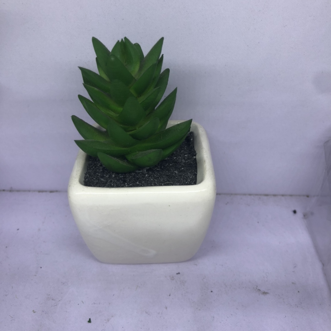 Simulation succulent plant simple Nordic wind false bonsai bonsai bonsai bonsai mini meat plastic flowers tabletop decorations 25 thumbnail