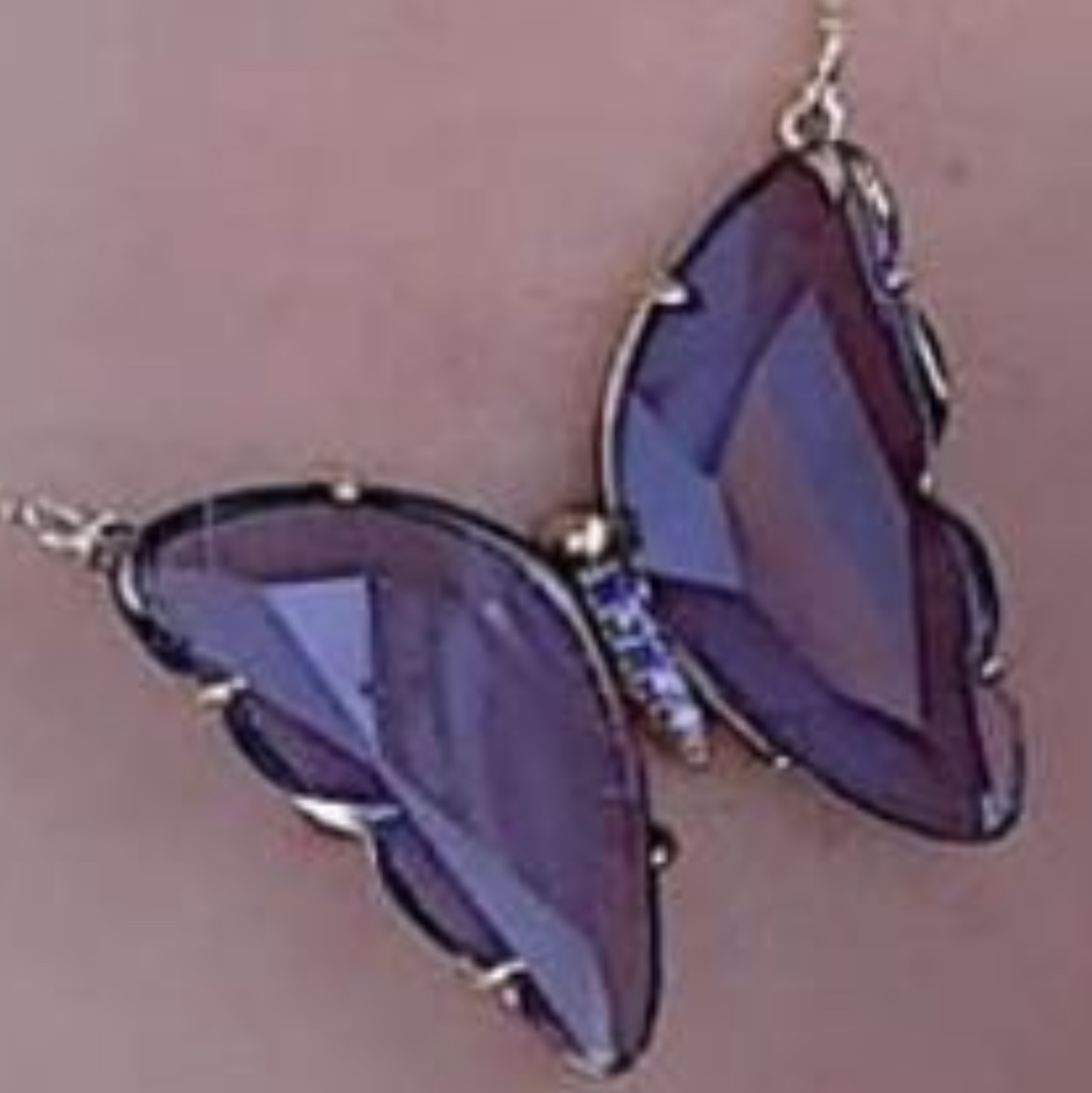 Copper-rimmed butterfly thumbnail
